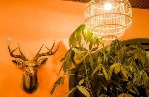 Da Lat Hotel | Steed Hotel Đà Lạt