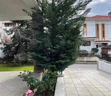 Anatoli Apartment | STEMA luxury apartment διαμέρισμα υψηλής αισθητικής