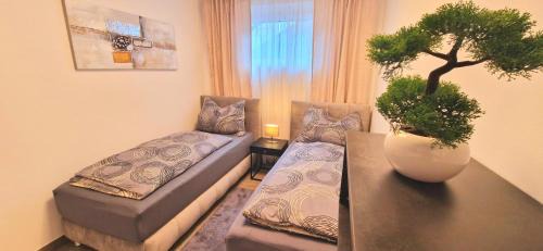 Jakomini Apartment | Stilvolle moderne 3-Zimmerwohnung