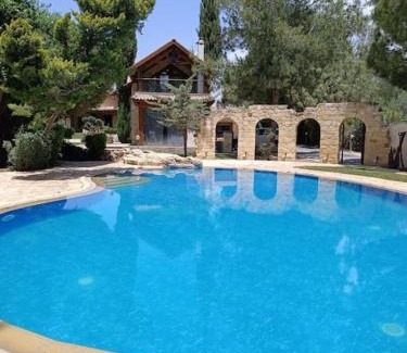 Ypsonas Villa | Stone Garden Oasis Cottage