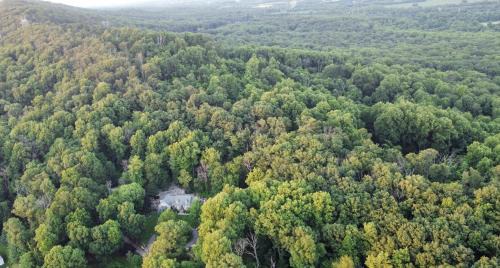 Tuscarora House | Stone Leaf Farm Private Nature Retreat with Pool, Waterfalls, Orchards & Gardens