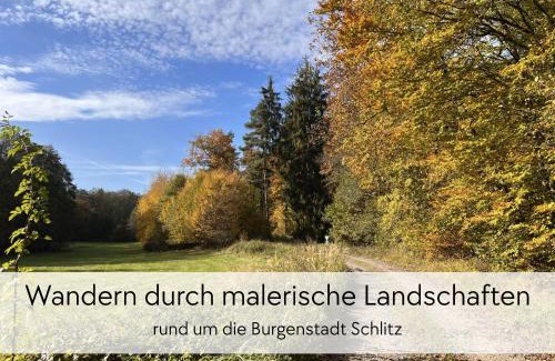 Schlitz Apartment | STORCHENNEST - Scandi Style - in der historischen Hinterburg Schlitz - mit Aufzug, Parkplatz & Garten - nahe Fulda und Bad Hersfeld
