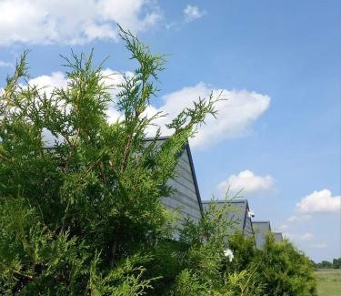 Brochow Cabin | Strefa Kampinos