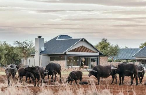 Kgetlengrivier Cabin | Stroomrivier Lodge