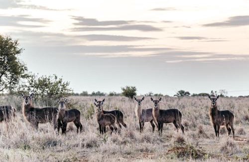 Kgetlengrivier Cabin | Stroomrivier Lodge