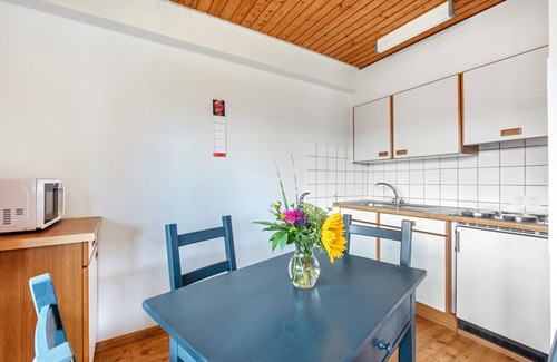 Todtnauberg Apartment | Studio '1, 30 sqm' with Mountain View, Shared Terrace and Wi-Fi