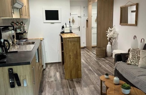 Les Issambres Apartment | Studio 3* | parking | wifi | air conditioning | pool