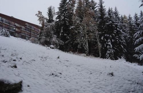 Arc-1800 Apartment | Studio 4 pers, proche pistes et commerces, balcon S-O, cœur village Charvet, animaux admis, wifi - FR-1-411-503