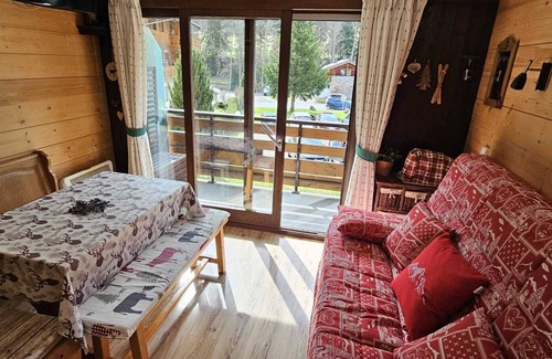 Chatel Apartment | Studio 4 persons Châtel/Linga. Telecabine within walking distance.