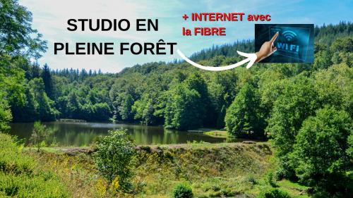 Saint-Hilaire-les-Courbes Apartment | Studio aux Sources de la Chabanne