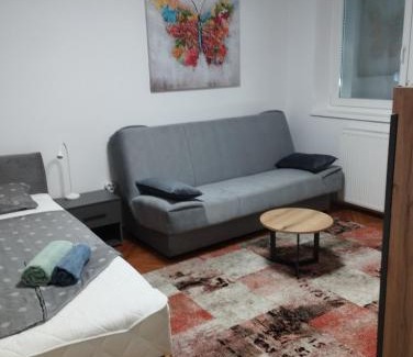 Daruvar Apartment | Studio apartman Senka