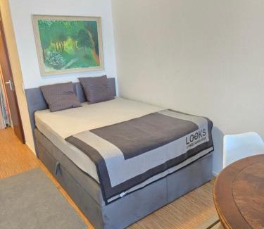 Feuerbacher Tal Apartment | Studio Apartment