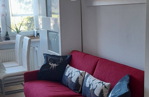 Baiersbronn Apartment | Studio Apartment 'Holiday Apartment in the Black Forest' with Mountain View, Shared Terrace and Wi-Fi