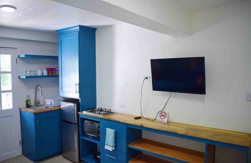Maxwell Apartment | Studio APT 3A, Oceanview + Pool, Near Beach | @ Paradise Point Barbados