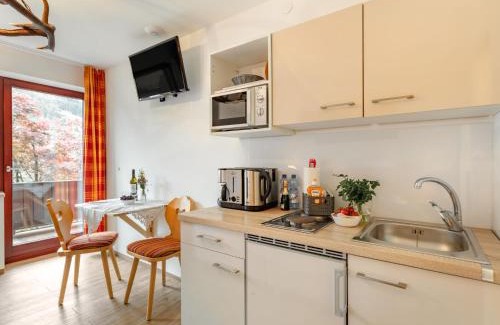 Schonbach Apartment | Studio Mittagssonne by Interhome