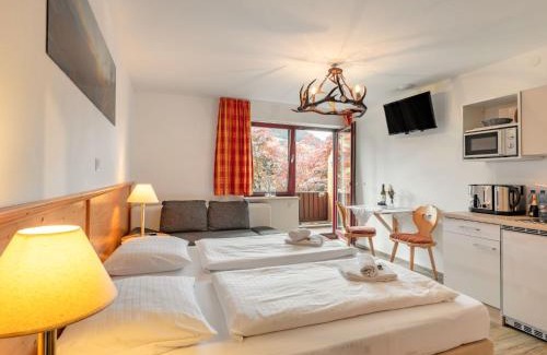 Schonbach Apartment | Studio Mittagssonne by Interhome