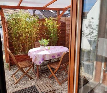 Lamotte-Beuvron House | studio avec terrasse "Le Loup"