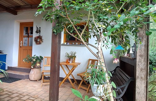 Betzenstein Apartment | Studio 'Bird's Nest' with Shared Terrace and Shared Garden