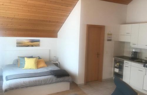 Grindelwald Apartment | Studio Central Grindelwald