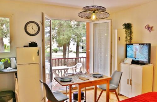 Amelie-les-Bains-Palalda Apartment | Studio classé 2 étoiles à 5 minutes du centre ville et 10 des Thermes