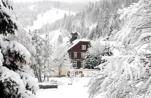 Menzenschwand-Hinterdorf Apartment | Studio B3 for 2 people