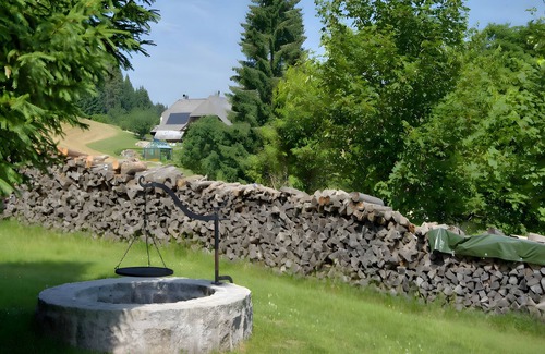 Grafenhausen Apartment | Studio 'Doppelzimmer Nr 3' with Mountain View, Shared Garden and Wi-Fi