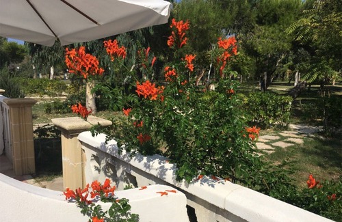 Chiesiola Apartment | Studio 'Falcone-Monolocale Comfort 202' with Sea View, Wi-Fi and Air Conditioning