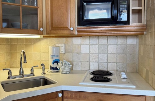 Daytona Beach Shores Condo | Studio for 2 with Breathtaking View with A/C