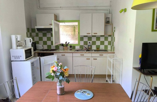 Les Bains de la Preste Apartment | Studio perched in the flora of the High Vallespir