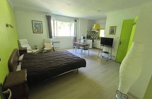 Les Bains de la Preste Apartment | Studio perched in the flora of the High Vallespir