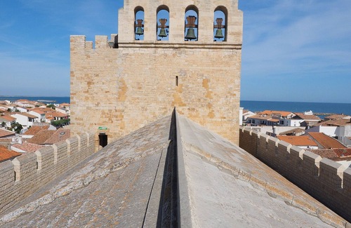 Saintes-Maries-de-la-Mer Apartment | Studio Saintes-Maries-de-la-Mer, studio flat, 3 persons