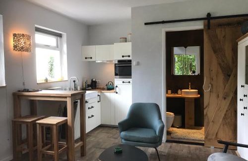 Burgh-Haamstede Apartment | Studio Het Kommertjeshof