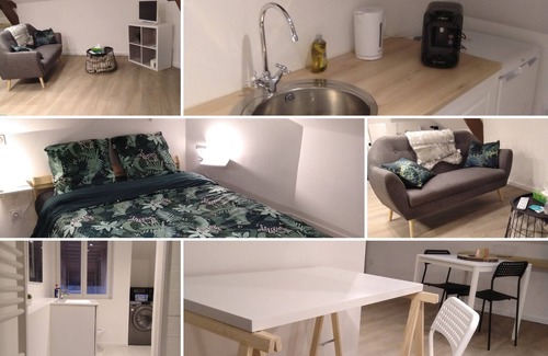 La Fleche Apartment | Studio Hyper center Emeraude ★ ZOO ★ 24h du Mans