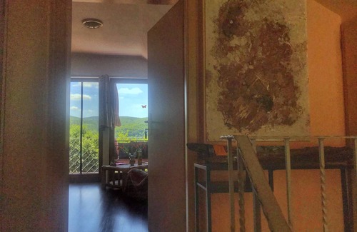 Scheid Apartment | Studio in a dream location directly at Edersee/Scheid-National Park Kellerwald-Pure nature!