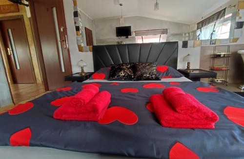 Pszczolki House | Studio Relax