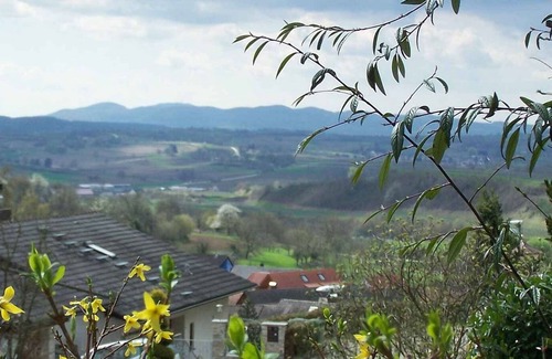 Ettenheim Apartment | Studio 'Unterschütz' with Mountain View, Private Terrace and Wi-Fi