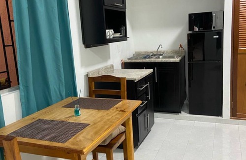 Colonia Adolfo Lopez Mateos Apartment | Studio with excellent location