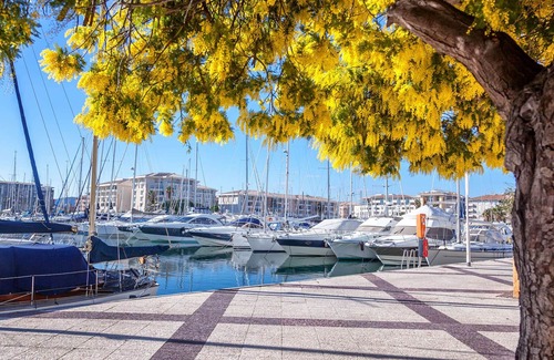 La Faviere Apartment | Studio with Large Terrace and Parking Near the Beach