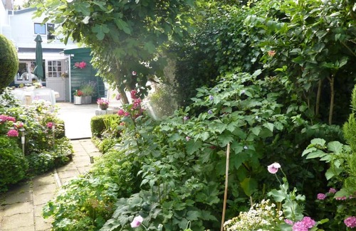 Colijnsplaat Bed & Breakfast | Studio "Zo maar"