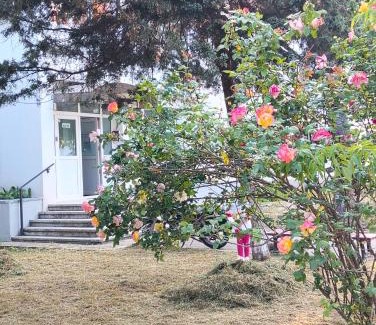Saturn Apartment | Studioul vacanțelor din Saturn 2