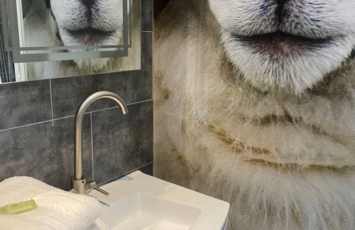 Carlisle Villa | Stunning house on the edge of Carlisle.