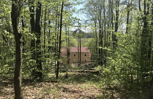 Osceola Ski Chalet | Stunning New Chalet in 17 acre Tug Hill Woodland Retreat