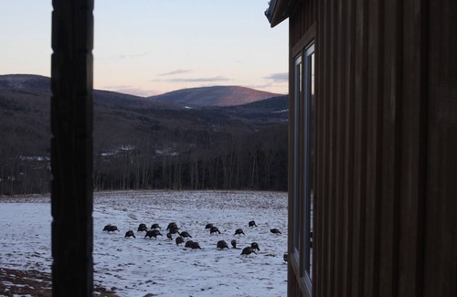 Margaretville House | Stunning views of the Catskills. Open meadows. Serene living space.