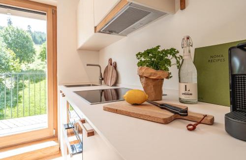 Todtnauberg Apartment | stuub todtnauberg
