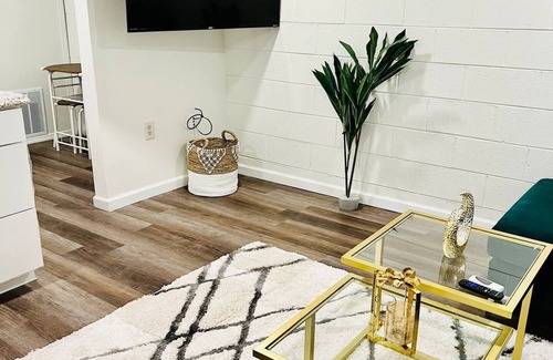 Chatham Crescent Apartment | Stylist 1 bedroom condo close to downtown and major hospital hospitals