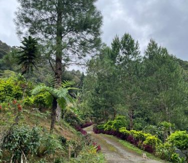 Bundu Tuhan Apartment | SU Valley Lodge