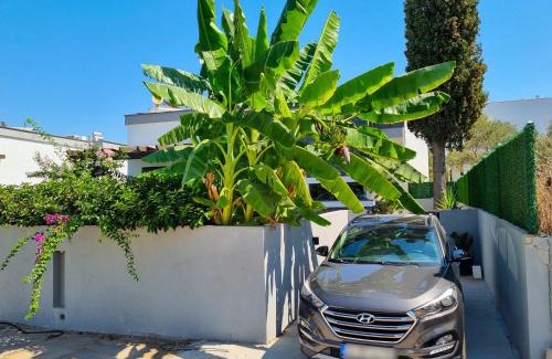Turgutreis City Center Apartment | Suelo Flat Villa