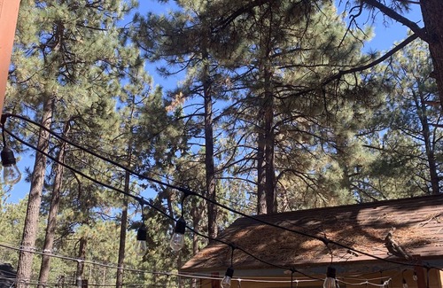 Sugarloaf Cabin | Sugar Bear Lodge