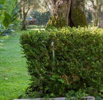 Ripa-Pozzi-Ponterosso Villa | Suite Agave