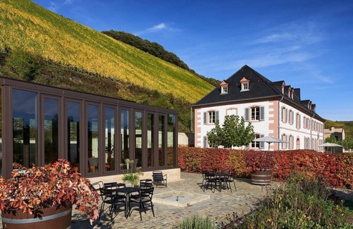 Kanzem Apartment | Suite Altenberg - Guesthouse-Weingut Cantzheim